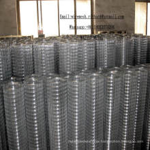 Alibaba Hot Sale Galvanized Welded Wire Mesh Made in China